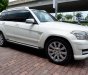 Mercedes-Benz GLK Class GLK 300 4 Matric 2009 - Bán Mercedes GLK300 4 Matric Model 2010