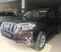 Toyota Prado VX 2.7L 2018 - Bán Toyota Prado VX 2.7L sản xuất năm 2018, màu nâu, nhập khẩu nguyên chiếc