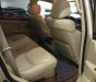 Lexus LX 570 2009 - Bán ô tô Lexus LX 570 năm 2009, màu vàng, xe nhập