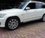 Mercedes-Benz GLK Class GLK 300 4 Matric 2009 - Bán Mercedes GLK300 4 Matric Model 2010