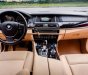 BMW 5 Series 520i 2016 - Bán xe BMW 5 Series 520i năm sản xuất 2016, màu nâu, xe nhập