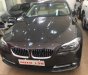 BMW 5 Series 520i 2016 - Bán xe BMW 5 Series 520i năm sản xuất 2016, màu nâu, xe nhập