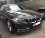 BMW 5 Series 520i 2016 - Bán BMW 5 Series 520i năm sản xuất 2016, màu đen, nhập khẩu