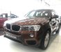 BMW X3 AT 2017 - Bán ô tô BMW X3 năm 2017, nhập khẩu nguyên chiếc, chính hãng. Chính sách bán hàng cực kì tốt
