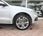 Audi Q5 2004 - Bán Audi Q5 sản xuất 2004, màu bạc