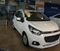 Chevrolet Spark 2018 - Bán ô tô Chevrolet Spark năm sản xuất 2018, màu trắng, giá tốt