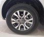 Ford Ranger Wildtrak 3.2L 4x4 AT 2016 - Cần bán gấp Ford Ranger Wildtrak 3.2L 4x4 AT 2016, màu trắng, nhập khẩu nguyên chiếc