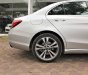 Mercedes-Benz C class  C 250 2018 - Bán Mercedes C 250 năm sản xuất 2018, màu bạc