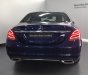 Mercedes-Benz C class C250 2017 - Bán Mercedes-Benz C250, đã qua sử dụng chính hãng tốt nhất