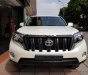 Toyota Prado 2016 - Cần bán xe Toyota Prado đời 2016, màu trắng, nhập khẩu nguyên chiếc