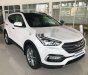 Hyundai Santa Fe 2017 - Cần bán xe Hyundai Santa Fe sản xuất 2017, màu trắng, giá tốt