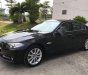 BMW 5 Series  520i 2016 - Bán ô tô BMW 5 Series 520i 2017, màu đen, nhập khẩu