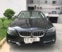 BMW 5 Series  520i 2016 - Bán ô tô BMW 5 Series 520i 2017, màu đen, nhập khẩu