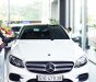 Mercedes-Benz E class E300 AMG 2017 - Cần bán xe Mercedes E300 AMG đời 2017, màu trắng