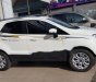 Ford EcoSport 2017 - Cần bán xe Ford EcoSport năm 2017, màu trắng, 580 triệu