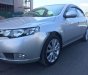 Kia Forte 2010 - Bán Kia Forte năm sản xuất 2010, màu bạc, nhập khẩu  