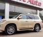 Lexus LX 570 2009 - Bán Lexus Lx570 xuất Mỹ sản xuất 2009, đăng ký lần đầu 2010, tên cá nhân