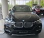 BMW X4  xDrive20i 2017 - Bán xe BMW X4 xDrive20i mới 100%, xe nhập khẩu chính hãng từ Đức, có xe giao ngay