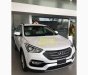 Hyundai Santa Fe 2017 - Bán xe Hyundai SantaFe có sẵn tại cửa hàng, hỗ trợ vay 90% đến 7 năm