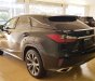 Lexus RX 350 2016 - Bán Lexus Rx350 sản xuất 2016, đăng ký tên công ty