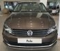 Volkswagen Polo 1.6L 2017 - Bán Volkswagen Polo 1.6L mới, nhập khẩu nguyên chiếc, giao ngay, trả trước chỉ từ 200 triệu