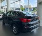 BMW X4  xDrive20i 2017 - Bán xe BMW X4 xDrive20i mới 100%, xe nhập khẩu chính hãng từ Đức, có xe giao ngay