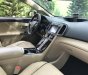 Toyota Venza 2009 - Bán xe Toyota Venza năm 2009, màu nâu, xe nhập