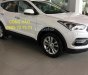 Hyundai Santa Fe 2017 - Bán xe Hyundai SantaFe có sẵn tại cửa hàng, hỗ trợ vay 90% đến 7 năm