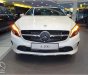 Mercedes-Benz A class A200 2018 - Bán xe Mercedes Benz A200 2018 - Giao ngay - giá tốt