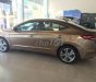 Hyundai Elantra   2018 - Cần bán Hyundai Elantra sản xuất năm 2018, màu nâu 