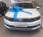 Volkswagen Passat Bluemotion 2018 - Bán xe mới Passat Bluemotion 2018 1.8, 132kw / 250nm, giá hot