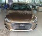 Hyundai Elantra   2018 - Cần bán Hyundai Elantra sản xuất năm 2018, màu nâu 