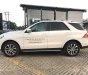 Mercedes-Benz GLE-Class GLE400  2018 - Bán Mercedes GLE400 4 Matic Exclusive 2018 cũ chính hãng, trả trước 1 tỷ 100 nhận xe