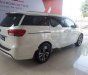 Kia Sedona  3.3L GATH 2018 - Bán xe Kia Sedona 2018, vay 80% xe 