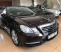 Mercedes-Benz E class  E250 CGI  2010 - Bán Mercedes E250 CGI sản xuất 2010 chính chủ