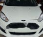 Ford Fiesta 2018 - Bán ô tô Ford Fiesta 2018, màu trắng