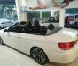 BMW 3 Series  325i 2009 - Bán xe BMW 325i nhập khẩu Đức 2009 giá rẻ 