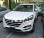 Hyundai Tucson   2018 - Bán xe Hyundai Tucson 2018 đặc biệt, màu bạc, có sẵn