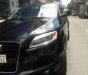 Audi Q7   2008 - Cần bán xe Audi Q7 2008, biển số 51G 