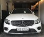 Mercedes-Benz GLC-Class 2016 - Bán xe Mercedes GLC 300 đời 2016. Giá 1 tỷ 900 triệu, có thương lượng