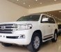 Toyota Land Cruiser V8 VX 4.6L 2016 - Bán Toyota Land Cruiser VX 2016, màu trắng, nội thất kem, đăng ký tên công ty