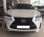 Lexus NX Cũ 2016 - Xe Cũ Lexus NX 2016