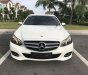 Mercedes-Benz E class  E200 2015 - Cần bán gấp Mercedes E200 sản xuất 2015, màu đen, giá tốt