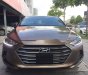 Hyundai Elantra  GLS 2.0  2016 - Bán Hyundai Elantra 2.0 sản xuất 2016, màu nâu, giá tốt