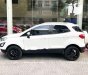 Ford EcoSport    2018 - Bán xe Ford EcoSport đời 2018, nhập khẩu nguyên chiếc 
