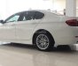 BMW 5 Series 2014 - Bán BMW 5 Series 520i 2014, màu trắng, nhập khẩu