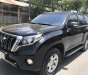 Toyota Prado 2014 - Bán Toyota Prado đời 2015, màu đen, nhập khẩu