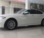 BMW 5 Series 2014 - Bán BMW 5 Series 520i 2014, màu trắng, nhập khẩu