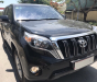 Toyota Prado 2014 - Bán Toyota Prado đời 2015, màu đen, nhập khẩu