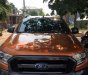 Ford Ranger Wiltrack 2.2  2017 - Bán xe Ford Ranger Wiltrack 2.2 đời 2018, xe nhập chính chủ